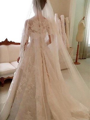 Scoop Neckline Sleeveless A-Line Lace Applique Court Train Wedding Dresses UK_3
