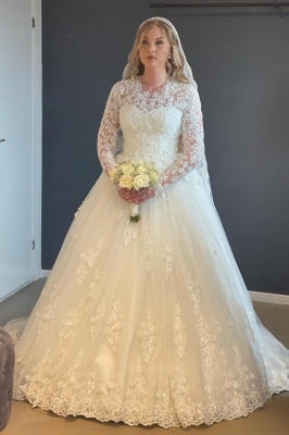 Elegant Long Sleeves Lace Wedding Dresses A-line Tulle Bridal Dress with Appliques