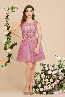 Chic Jewel Neck Tulle Short Formal Dress Sleeveless Lace Appliques Homecoming Dress