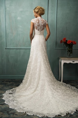 Elegant Cap Sleeve Lace Wedding Dress With Zipper Button Bridal Gowns_2