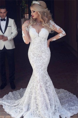 Long Sleeve  Sexy Mermaid Lace Wedding Dress Open Back V-neck Classic Bridal Gown_1
