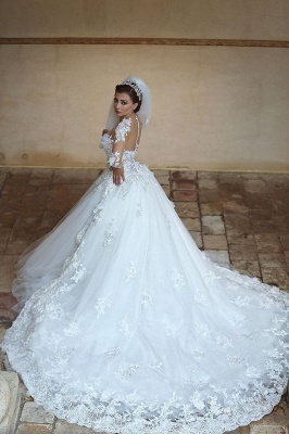Gorgeous Long Sleeve Appliques Tulle Wedding Dress Hi-Lo With Train_1