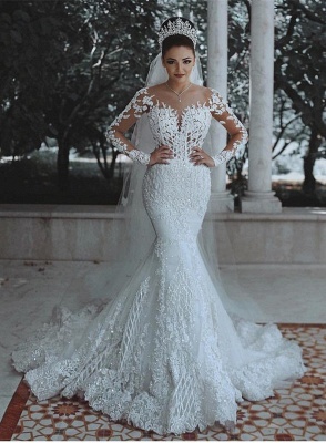 Elegant Long Sleeve Lace Wedding Dress | 2019 Sexy Mermaid Bridal Gowns On Sale_1