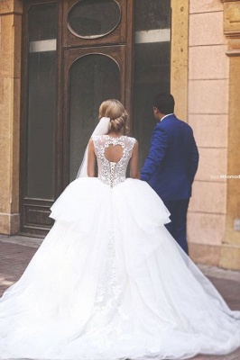 Elegant Tulle Ball Gown Wedding Dress Lace Appliques Lace-up_2