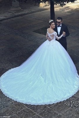 Long Sleeve Tulle Princess Wedding Dress Appliques_1