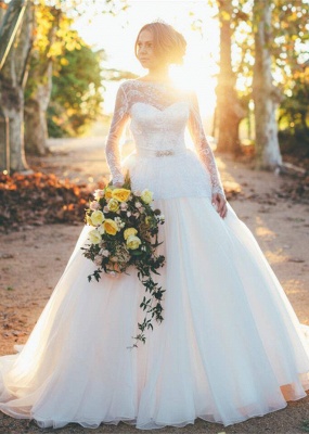 Gorgeous Long Sleeve Lace Wedding Dresses UK Princess Open Back_1