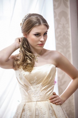 Elegant Strapless Sleeveless Champagne Wedding Dress Floor-length With Appliques_2