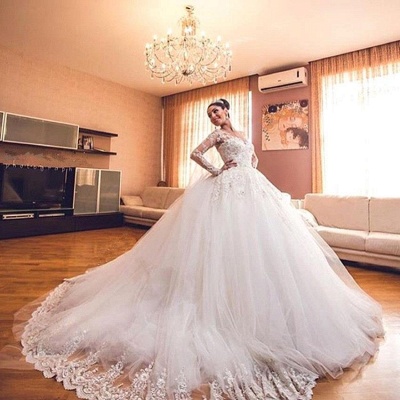 Delicate Lace Appliques Ball Gown Wedding Dress Long Sleeve Tulle_4