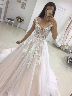 Elegant V-neck Lace Appliques Wedding Dress Tulle Wedding Reception Dress Online_1