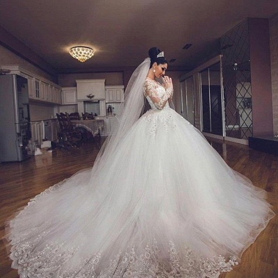 Delicate Lace Appliques Ball Gown Wedding Dress Long Sleeve Tulle_3