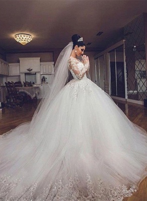 Delicate Lace Appliques Ball Gown Wedding Dress Long Sleeve Tulle_1