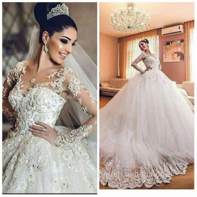 Delicate Lace Appliques Ball Gown Wedding Dress Long Sleeve Tulle_5